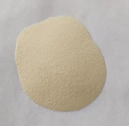 Protein Powder